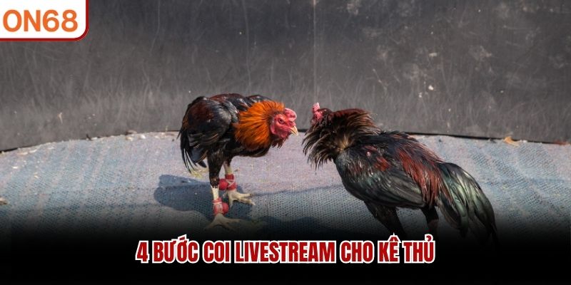 4 bước coi livestream cho k&ecirc; thủ