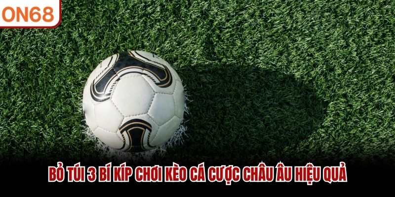 Bỏ t&uacute;i 3 b&iacute; k&iacute;p chơi k&egrave;o c&aacute; cược ch&acirc;u &Acirc;u hiệu quả