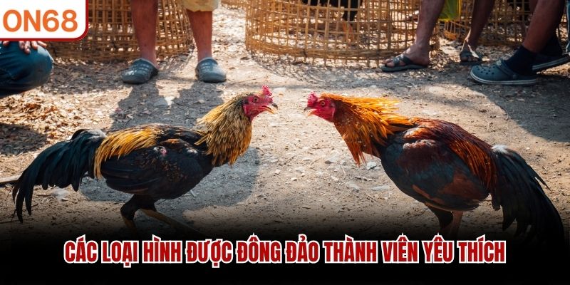 Các loại hình được đông đảo thành viên yêu thích