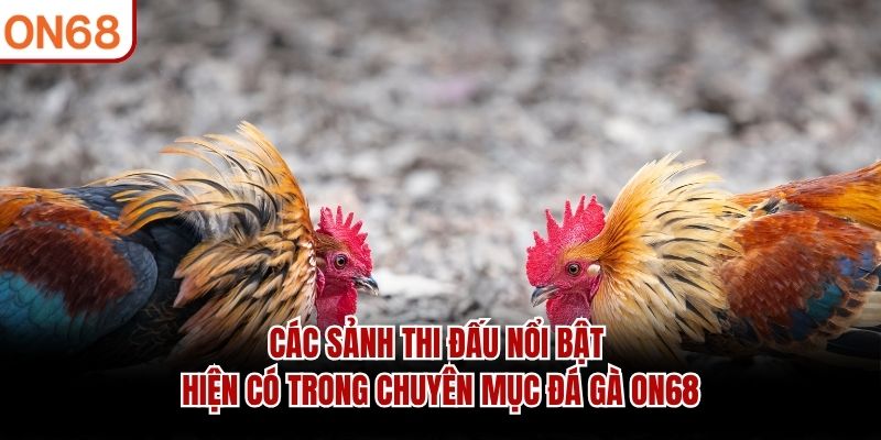 Các sảnh thi đấu nổi bật hiện có trong chuyên mục Đá Gà ON68