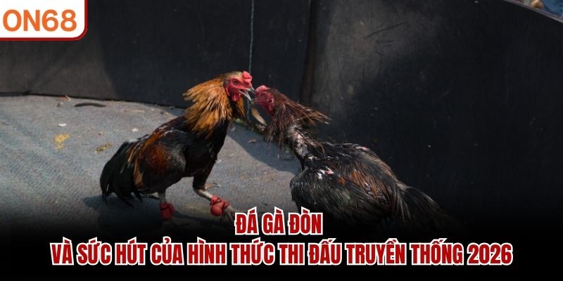 Đá Gà Đòn