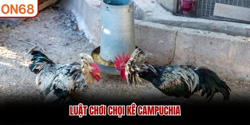 Luật chơi chọi kê Campuchia