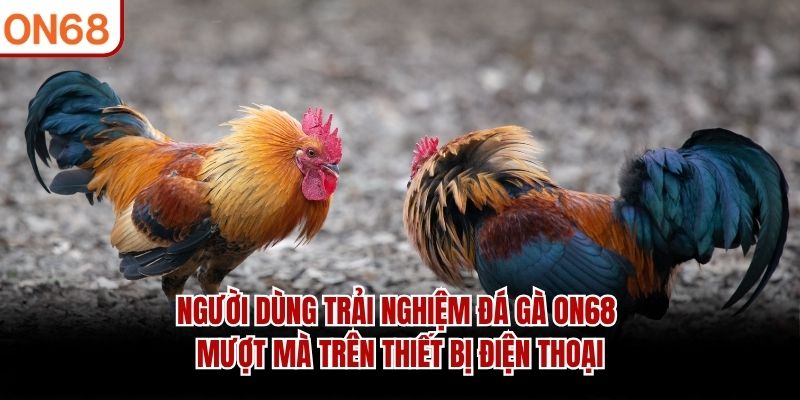 Người dùng trải nghiệm Đá Gà ON68 mượt mà trên thiết bị điện thoại