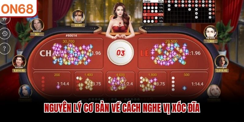 Nguy&ecirc;n l&yacute; cơ bản về c&aacute;ch nghe vị x&oacute;c đĩa