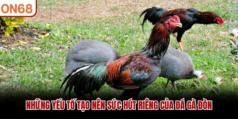 Những yếu tố tạo n&ecirc;n sức h&uacute;t ri&ecirc;ng của đ&aacute; g&agrave; đ&ograve;n