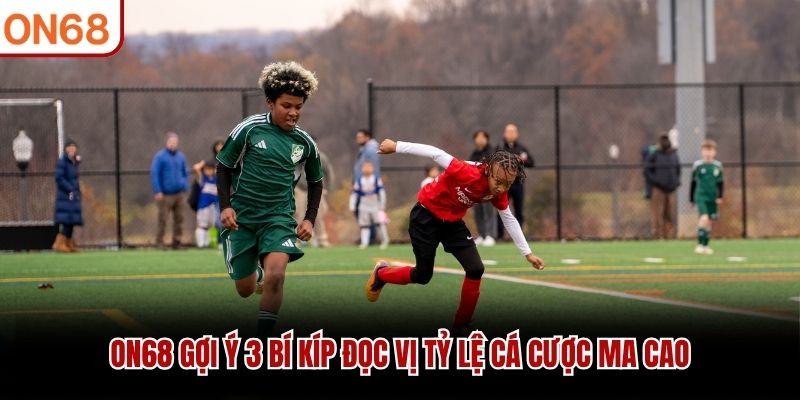 ON68 gợi &yacute; 3 b&iacute; k&iacute;p đọc vị tỷ lệ c&aacute; cược Ma Cao
