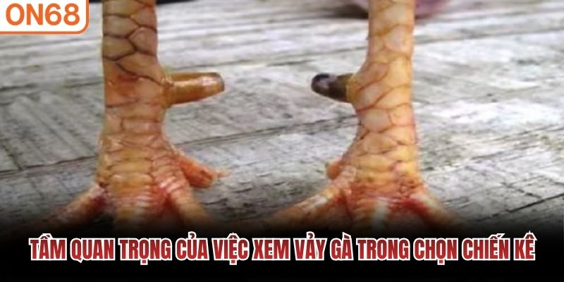 Tầm quan trọng việc xem vảy
