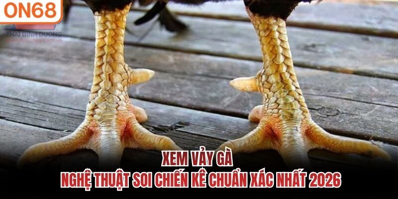 xem vảy gà