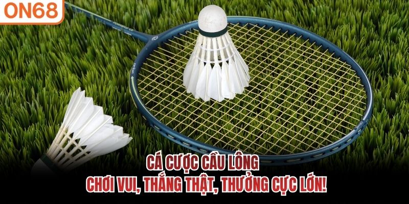 Cá Cược Cầu Lông